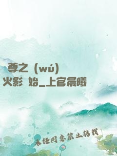 劍尊之無(wú)敵從火影開始