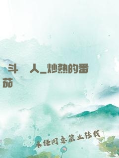 劍斗羅傳人