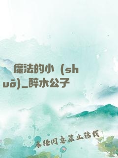 劍與魔法的小說(shuō)