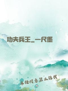 功夫兵王