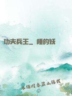 功夫兵王