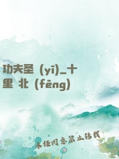 功夫圣醫(yī)