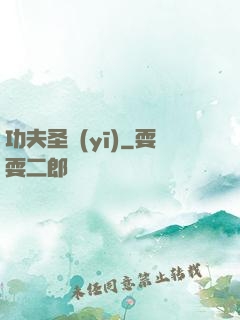 功夫圣醫(yī)
