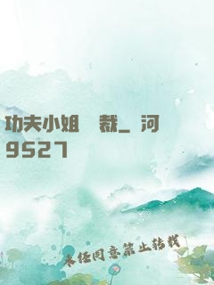 功夫小姐戲總裁