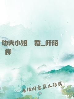 功夫小姐戲總裁
