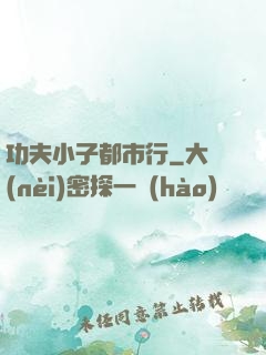 功夫小子都市行