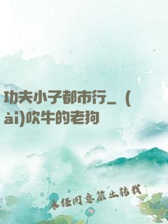 功夫小子都市行