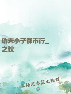功夫小子都市行