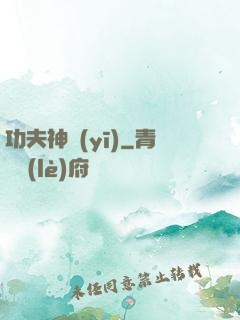 功夫神醫(yī)
