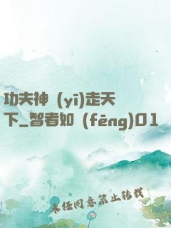 功夫神醫(yī)走天下