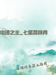 功德之主