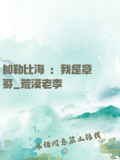 加勒比海盜：我是章魚哥