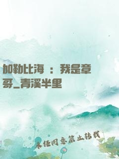加勒比海盜：我是章魚哥
