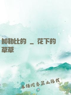 加勒比的夢