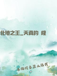 北地之王