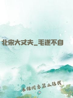 北宋大丈夫