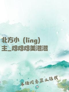 北方小領(lǐng)主