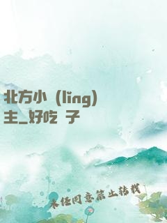 北方小領(lǐng)主