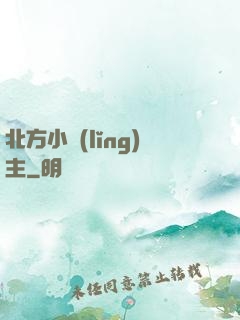 北方小領(lǐng)主