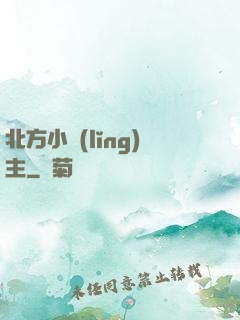北方小領(lǐng)主