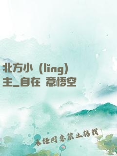 北方小領(lǐng)主