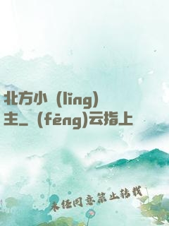 北方小領(lǐng)主