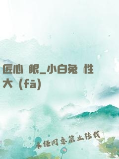 匠心寶眼
