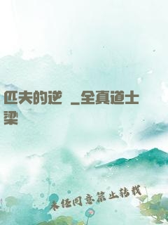 匹夫的逆襲