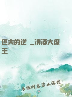 匹夫的逆襲