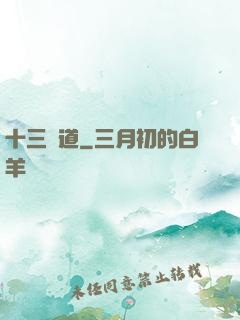 十三劍道