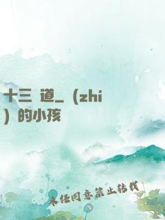 十三劍道
