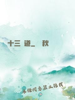 十三劍道