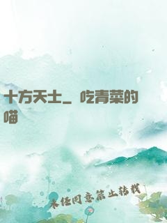 十方天士
