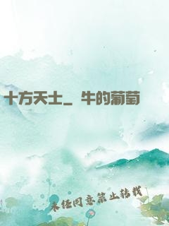十方天士
