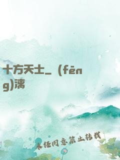 十方天士
