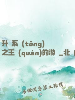 升級系統(tǒng)之王權(quán)的游戲