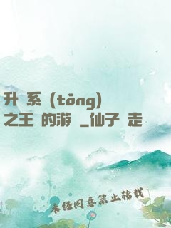 升級系統(tǒng)之王權的游戲