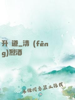 升龍道