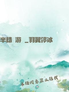 半精靈游俠