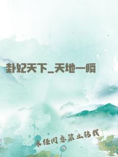 卦妃天下