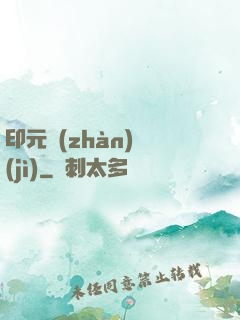 印元戰(zhàn)紀(jì)