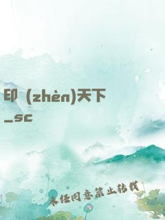 印鎮(zhèn)天下
