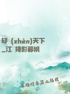印鎮(zhèn)天下