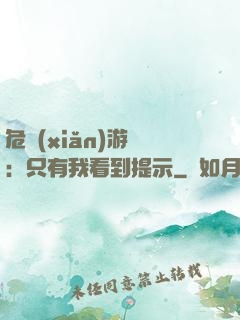 危險(xiǎn)游戲：只有我看到提示