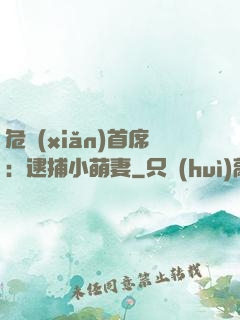 危險(xiǎn)首席：逮捕小萌妻