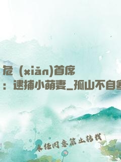 危險(xiǎn)首席：逮捕小萌妻