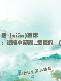 危險(xiǎn)首席：逮捕小萌妻
