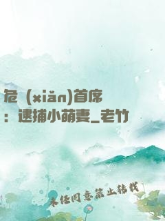 危險(xiǎn)首席：逮捕小萌妻