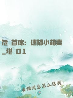 危險首席：逮捕小萌妻
