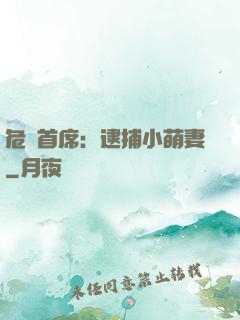 危險首席：逮捕小萌妻
